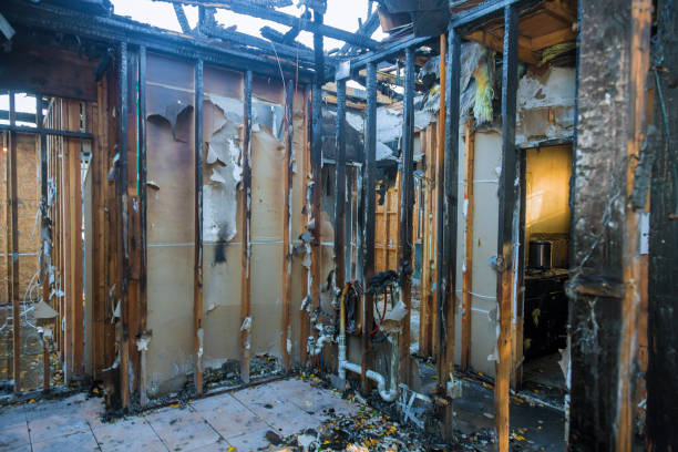 Professional Fire Damage Removal technician working in University of Virginia, VA